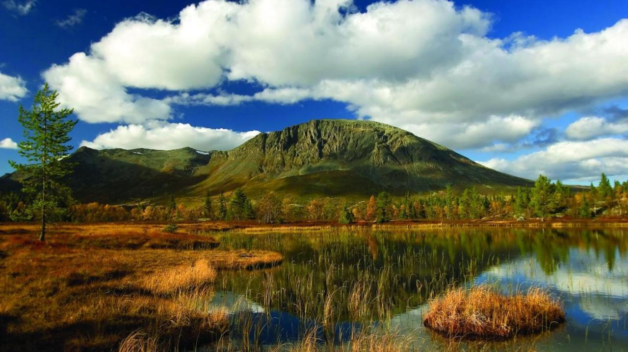 Snoya Lodge Hemsedal Εξωτερικό φωτογραφία